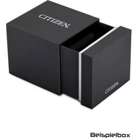 Citizen Eco-Drive CA7022-87E Edelstahl 43,0 mm CA7022-87E