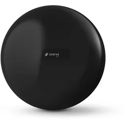 STRYVE Balancegerät Balance Ball | All Black 65, All Black, ONE SIZE