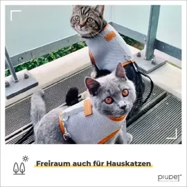 PiuPet Katzengeschirr mit 1,2 m Leine ausbruchsicher grau M