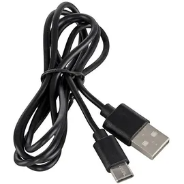 just light. AGNES Schwarz