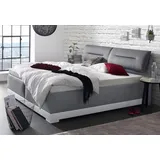 MAINTAL Polsterbett MAINTAL, grau (anthrazit, hellgrau), B:112cm L:212cm, Ausf. 2-5 Matratzenbezug aus 100% Polyester, Betten, Polsterbett, mit verstellbaren Kopfteil-Elementen