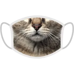 FERA Schutzmaske Katze