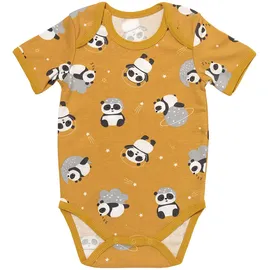 Schlummersack Body 5er Pack kurzarm 5er-Pack in Gold | 92