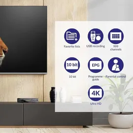 Strong Srt8250 (DVB-T2), TV Receiver,