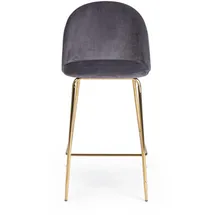 BIZZOTTO Barhocker Carry 2er-Set aus Samt, modern gepolstert, Dunkelgrau, Metallgestell Gold