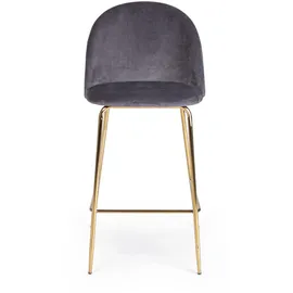 BIZZOTTO Barhocker Carry 2er-Set aus Samt, modern gepolstert, Dunkelgrau, Metallgestell Gold