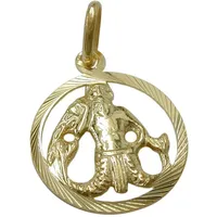 GALLAY Sternzeichen Wassermann Gold 15mm