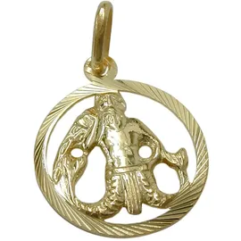 GALLAY Sternzeichen Wassermann Gold 15mm