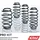 Fahrwerksatz Federn Pro-Kit E10-55-019-03-22