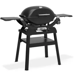 Weber Q 2200N mit Stand black