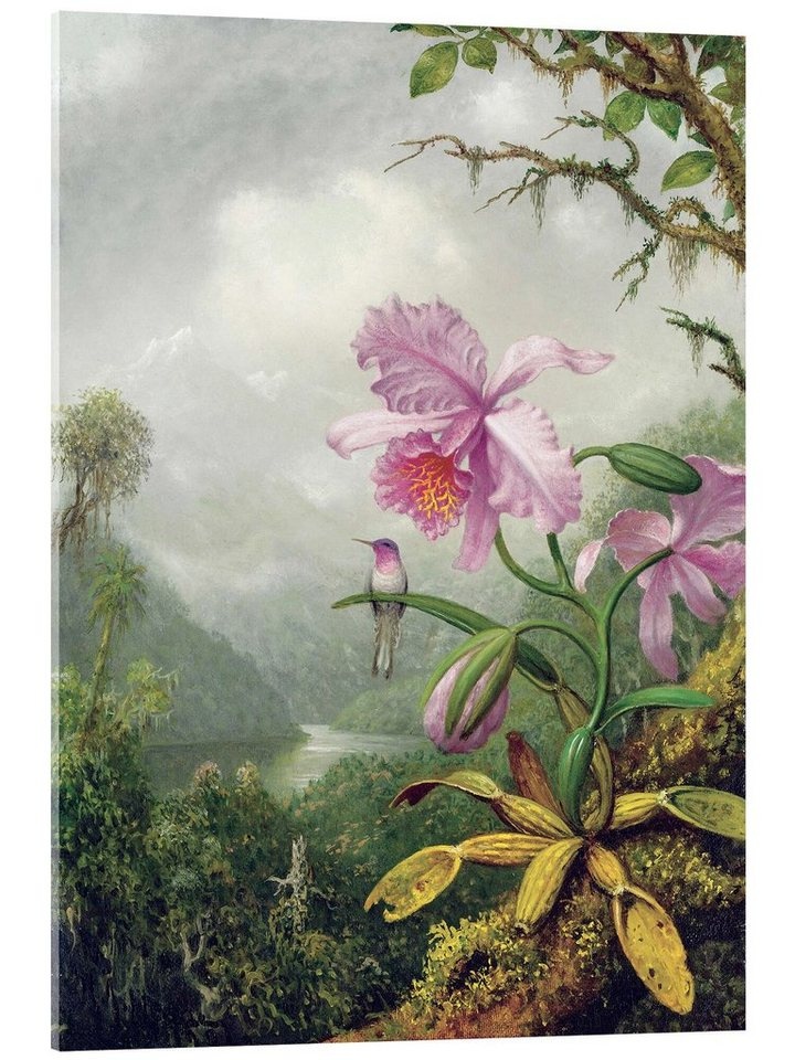 Posterlounge Acrylglasbild Martin Johnson Heade, Kolibri thront auf einer Orchidee, Malerei grün 50 cm x 70 cm