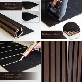 HEXIM Akustikpaneel AP12 schwarz 2 St. 278 x 60 cm