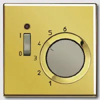 Raumtemperaturregler 