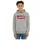 Levi's Levi ́s ® Kids Batwing Screeenprint Kapuzenpullover - Grey Heather - 5 Jahre