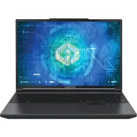 Captiva Gaming I91-965 16'' Intel Core i9-13900HX 32 GB