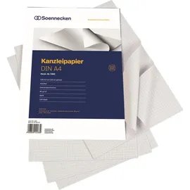 SOENNECKEN Kanzleipapier 5282 A3/A4 250 g/m2 250 Blatt