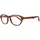 GANT Gr5006mbrnhn4 Brille Brown One Size