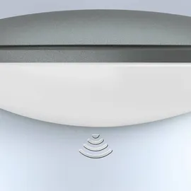 Steinel L 825 SC Wandleuchte anthrazit (059903)