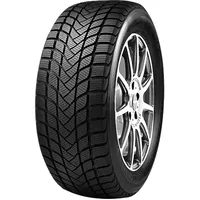 Mastersteel Winter PLUS IS-W 205/55 R17 95H