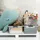 Rotho Aufbewahrungsbox Compact 57,5 x 40,0 x 25,0 cm 3-tlg. grau/transparent