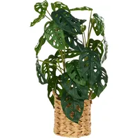 Beliani Kunstpflanze MONSTERA ADANSONII 53 cm Grün,