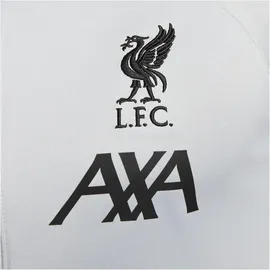 Nike Liverpool Strike Dri-FIT Fußball-Track-Jacket für Herren aus Strickmaterial - Grau, M
