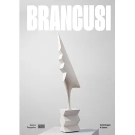Scheidegger & Spiess Brancusi