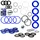 rosfix Reparatursatz für Airlessgerät Ultra Max II & MX II 1095 1595 | Qualität