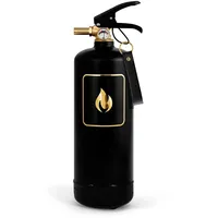 Nordic Flame Feuerlöscher schwarz/Gold 2 kg N141