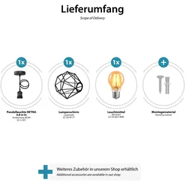 ledscom.de RETRA 1-flg. 30 cm Käfig-Schirm schwarz mit goldener LED Lampe