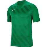 Nike Jungen Dri-fit Challenge 3 Jby Kurzarm-Trikot, grün, S