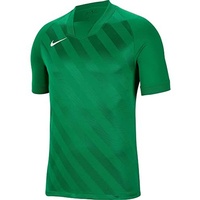 Nike Jungen Dri-fit Challenge 3 Jby Kurzarm-Trikot, grün, S