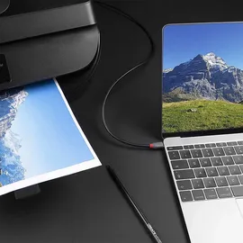 Lindy USB-Kabel USB 2.0 USB-C® Stecker, USB-B Stecker 1.00 m