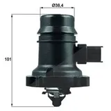 mahle Thermostat, Kühlmittel TM 37 103