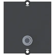 Bachmann Rahmen 1xKlinke 3,5mm BAM-6