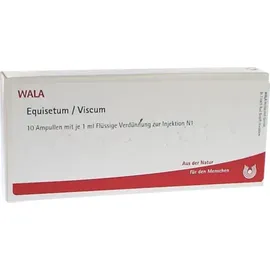 Wala EQUISETUM/VISCUM Ampullen