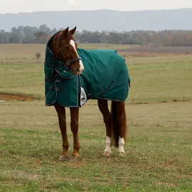 Weatherbeeta Comfitec Plus Dynamic Turnout Detach-A-Neck 220g, 140