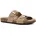 Taupe 39