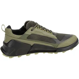 ECCO BIOM 2.1 X Mountain