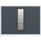 Sanit Eisenberg Betätigungsplatte Ineo Bright in anthrazit