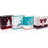 ROTH 24 Adventsboxen Winterwald