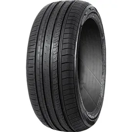 MINERVA F 209 195/55R16 87H