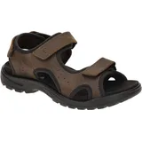 ECCO Hike 3 Strap Herren Braun 43