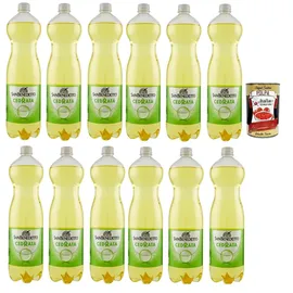 San Benedetto Cedrata soda citron soft drink PET 1.5 Lt erfrischend