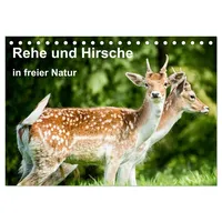 Calvendo Rehe und Hirsche in freier Natur (Tischkalender 2026