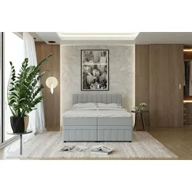 panda möbel Boxspringbett Doppelbett 160x200, Hellgrau, AVALON, mit Bettkästen, mit Matratze, mit Topper, Panda Möbel - Grau