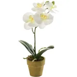 Künstliche Orchidee - Louisa | 25 cm