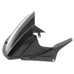 Hinterrad-Abdeckungen Carbon mit ABE