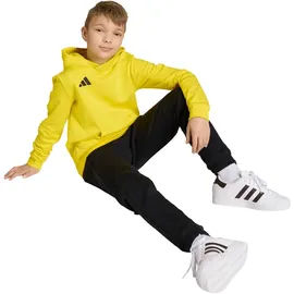 adidas Entrada 26 Team Yellow 152