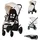 Chipolino Insta Beige